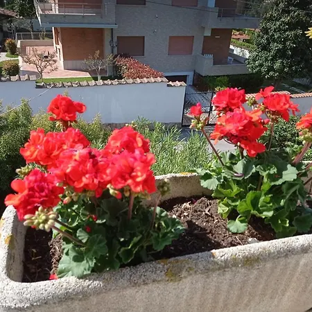 Διαμέρισμα Nerina Turistico Άντζιο